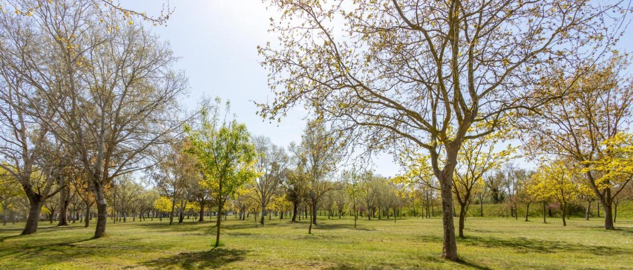 Goldhome - Puigmalc Empuriabrava Buitenkant foto